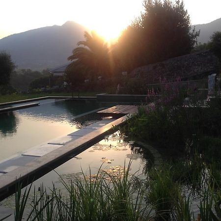Tenuta Margherita Pensjonat Salò Zewnętrze zdjęcie